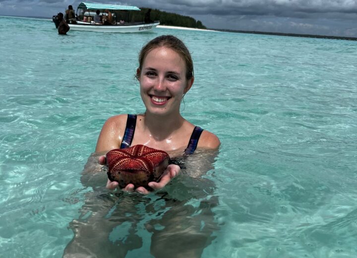 Things to do in Zanzibar